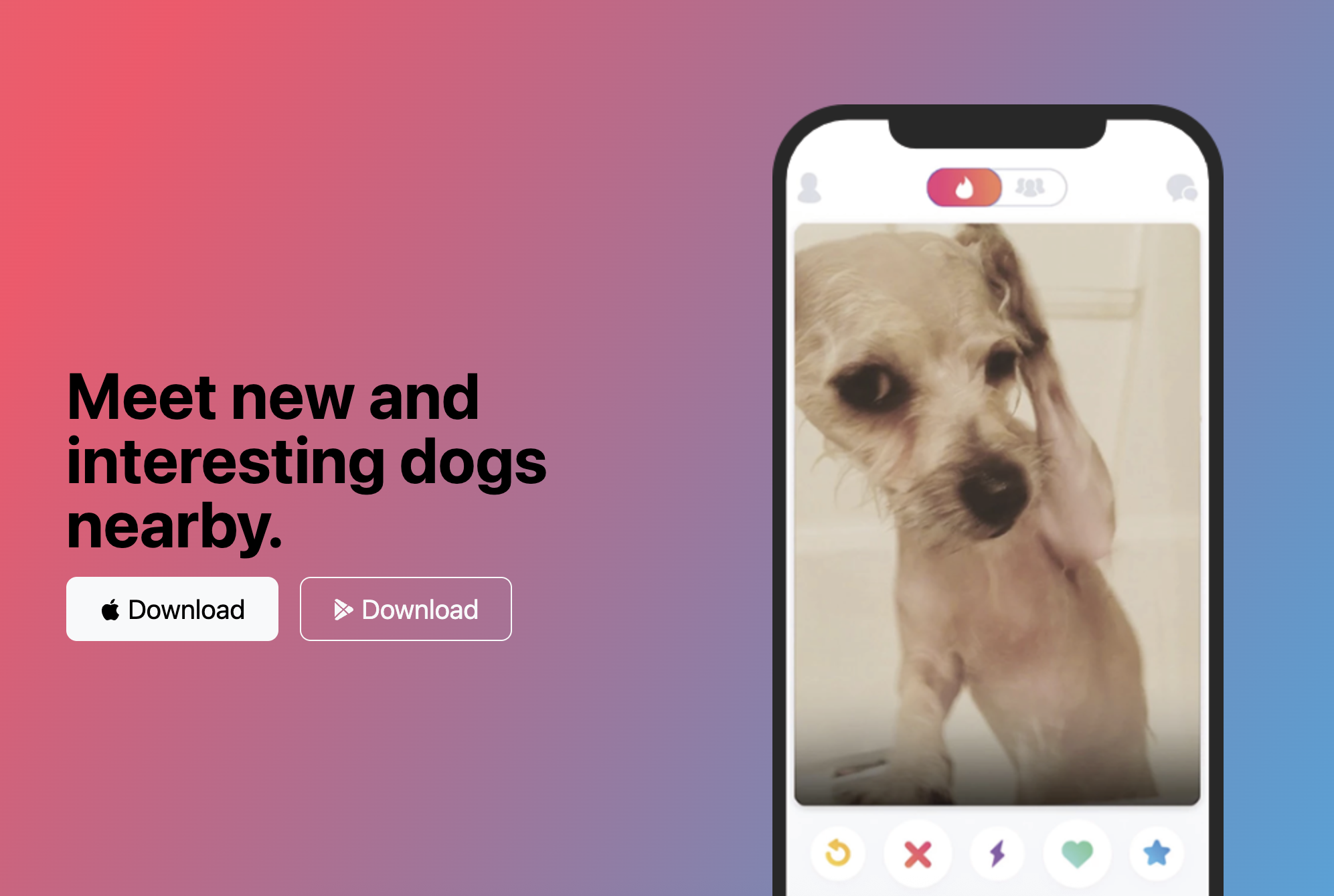 tindog Image